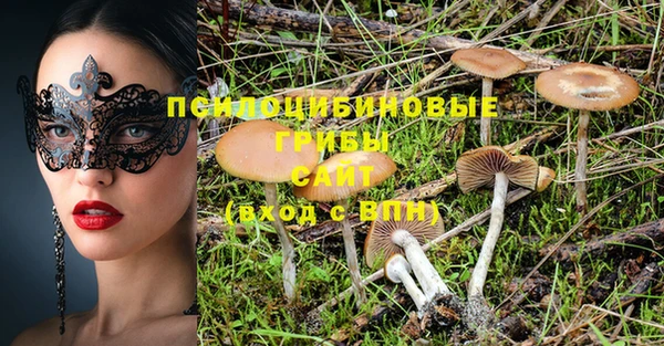 ешки Лабытнанги