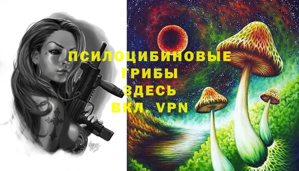 трава Белая Холуница